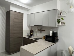 The Florence Residences (D19), Apartment #490191761